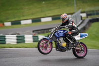 cadwell-no-limits-trackday;cadwell-park;cadwell-park-photographs;cadwell-trackday-photographs;enduro-digital-images;event-digital-images;eventdigitalimages;no-limits-trackdays;peter-wileman-photography;racing-digital-images;trackday-digital-images;trackday-photos